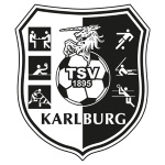 team-logo-bg
