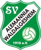 team-logo
