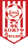 team-logo