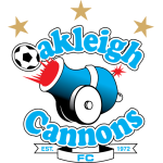 team-logo-bg