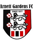 team-logo