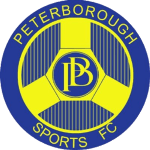 team-logo-bg
