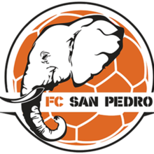 team-logo-bg