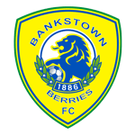 team-logo-bg